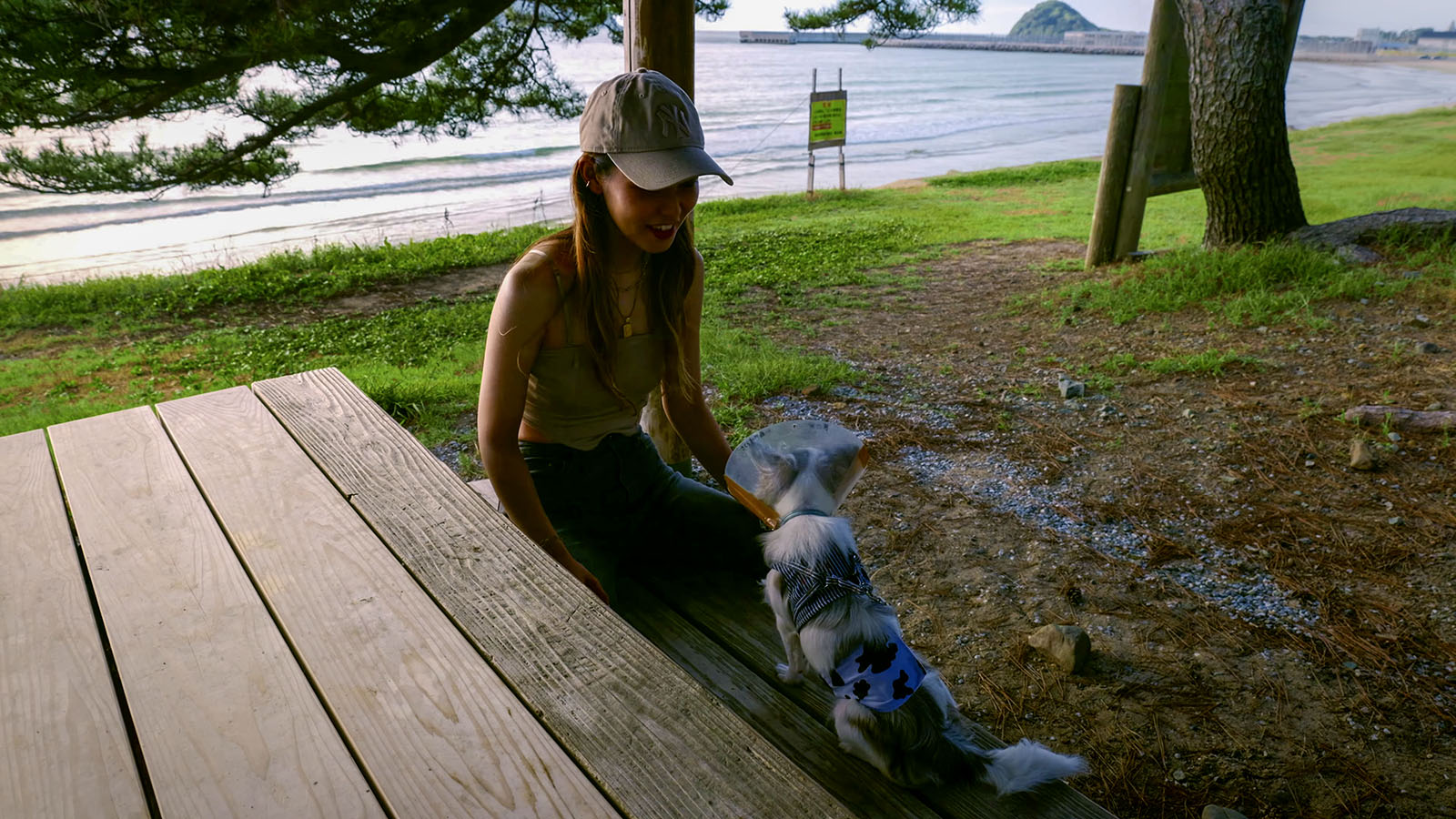 海が見える木陰のベンチで、犬と向き合って休む女性